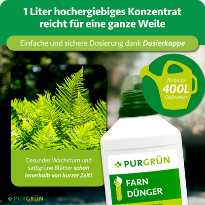 Farn-Dünger 1 Liter