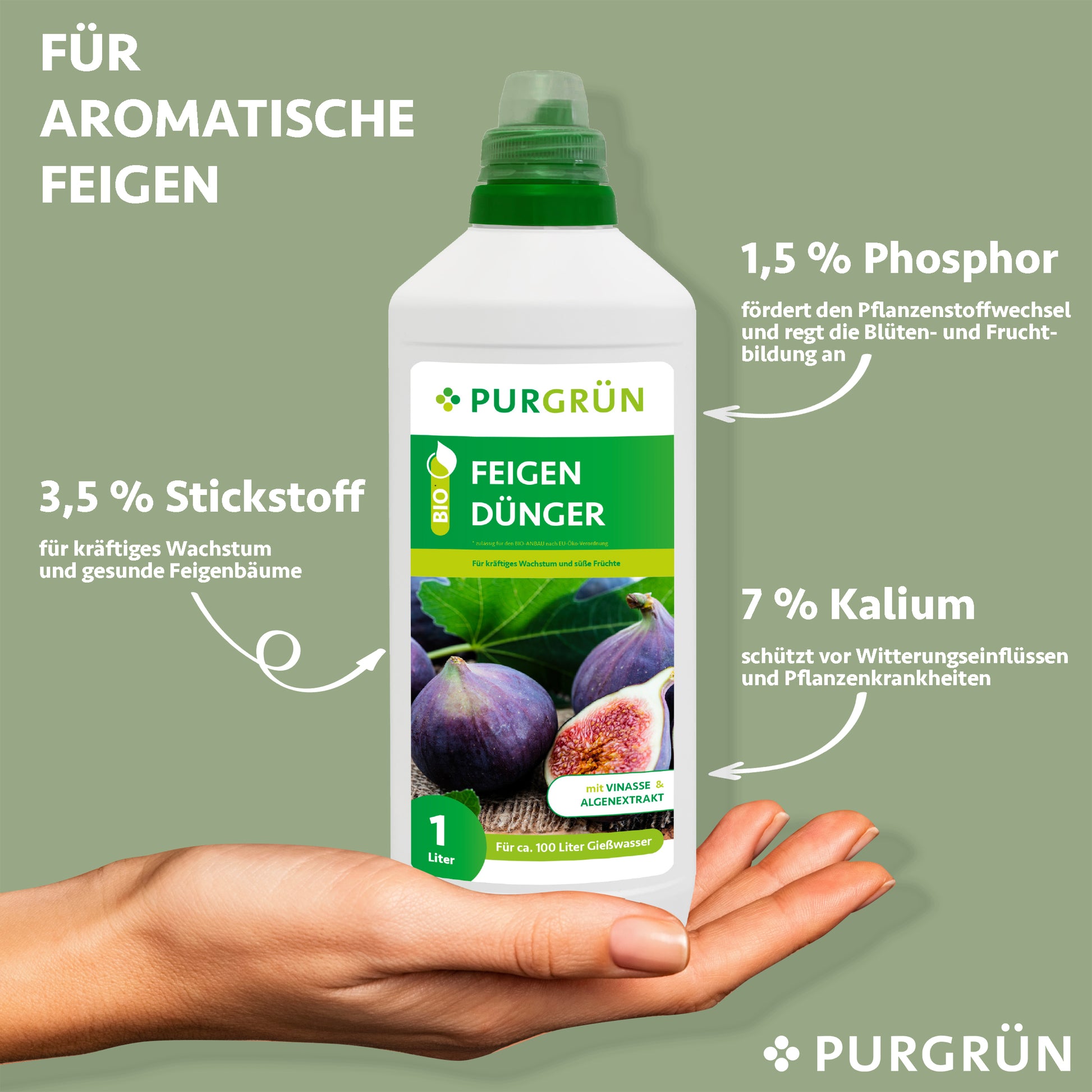 Eine Hand hält eine 1-Liter-Flasche Purgrün Bio-Feigendünger vor grünem Hintergrund. Auf dem Etikett sind Feigen und Feigenblätter abgebildet. Die Nährstoffe sind hervorgehoben: 3,5 % Stickstoff, 1,5 % Phosphor, 7 % Kalium. Algenextrakt ist unter den Zutaten aufgeführt.