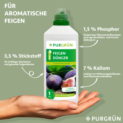 Eine Hand hält eine 1-Liter-Flasche Purgrün Bio-Feigendünger vor grünem Hintergrund. Auf dem Etikett sind Feigen und Feigenblätter abgebildet. Die Nährstoffe sind hervorgehoben: 3,5 % Stickstoff, 1,5 % Phosphor, 7 % Kalium. Algenextrakt ist unter den Zutaten aufgeführt.