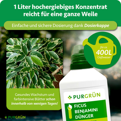Ficus-Benjamini-Dünger 1 Liter