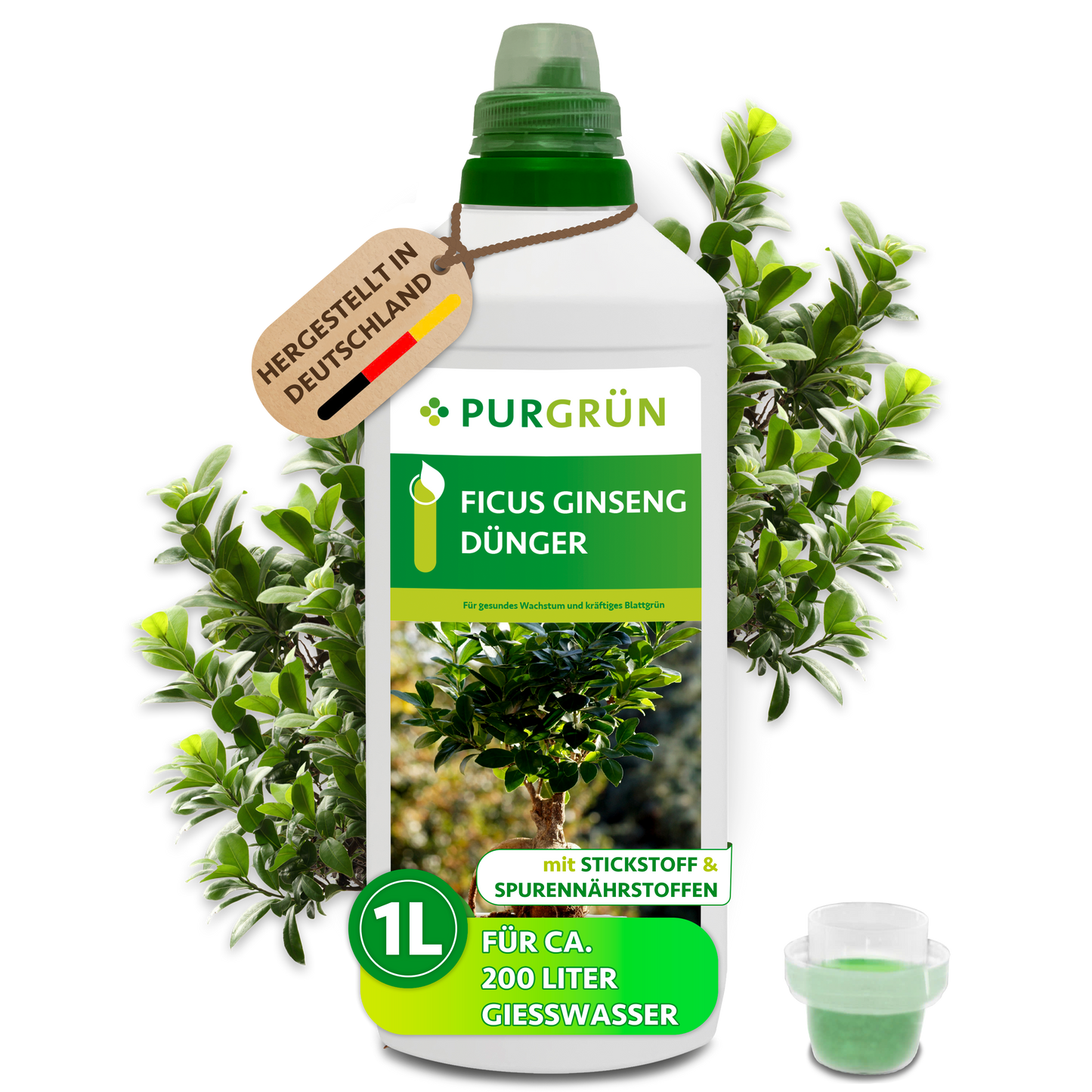 Purgrün Ficus-Ginseng-Dünger 1 Liter