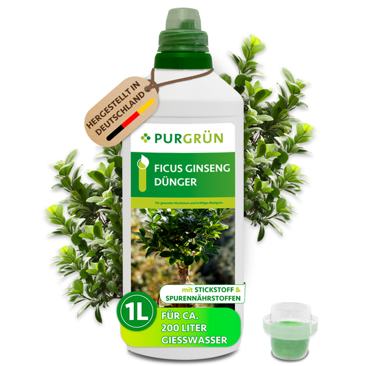 Ficus-Ginseng-Dünger 1 Liter