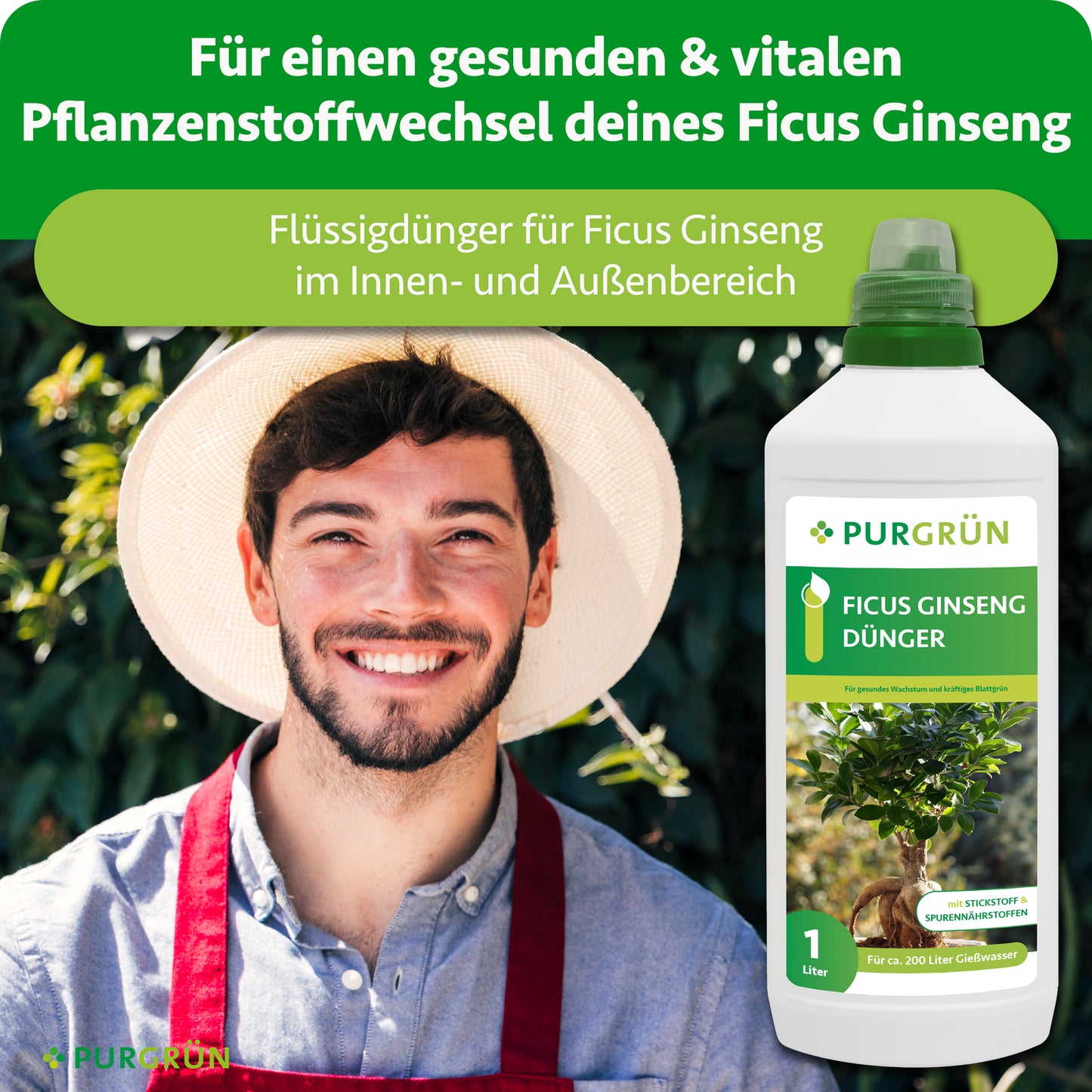 Ficus-Ginseng-Dünger 1 Liter