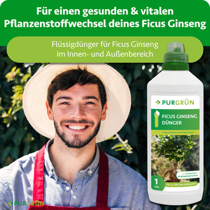 Ficus-Ginseng-Dünger 1 Liter