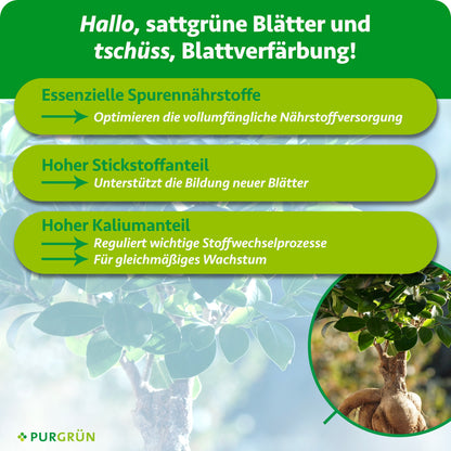 Ficus-Ginseng-Dünger 1 Liter