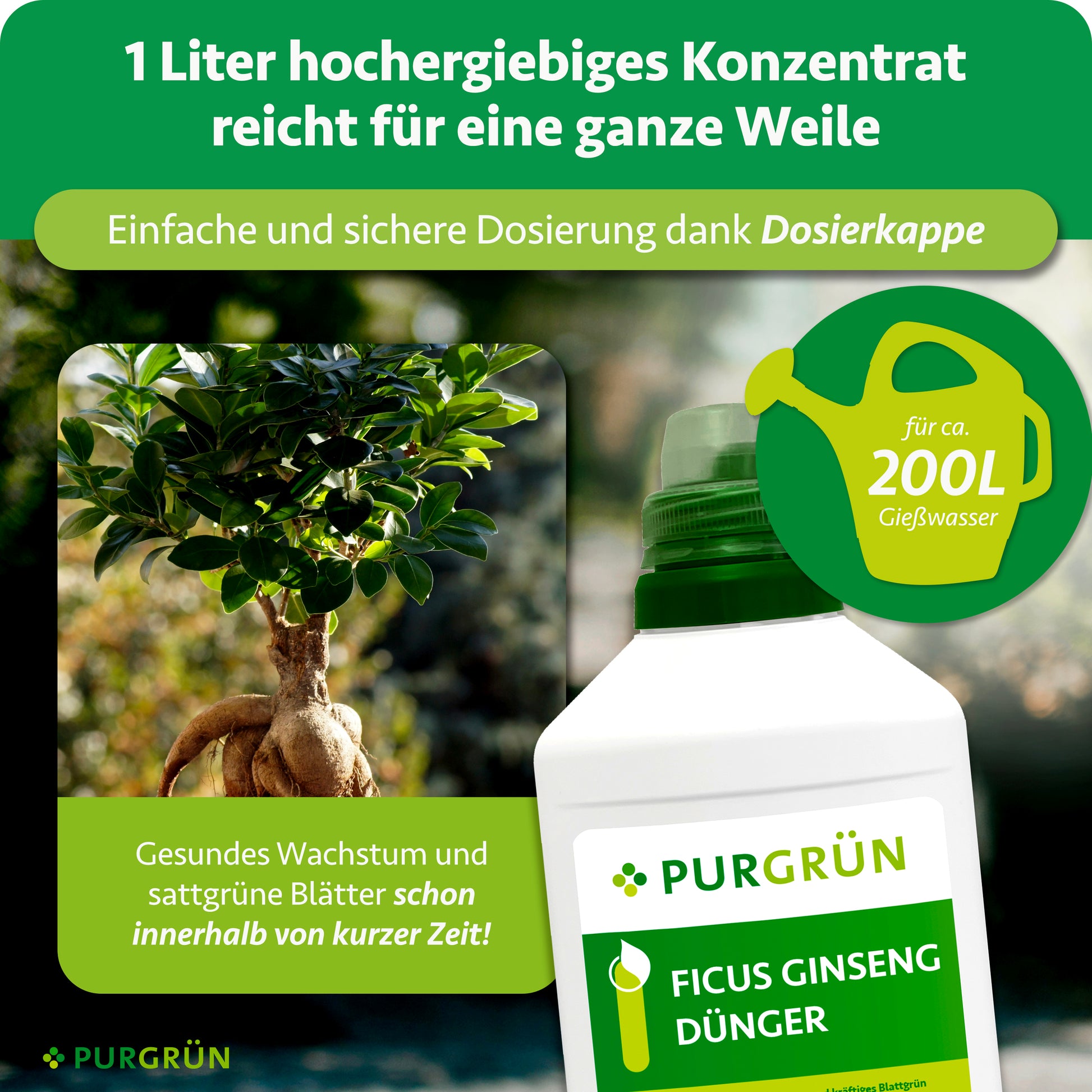 Purgrün Ficus-Ginseng-Dünger 1 Liter