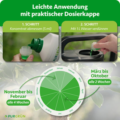 Ficus-Ginseng-Dünger 1 Liter