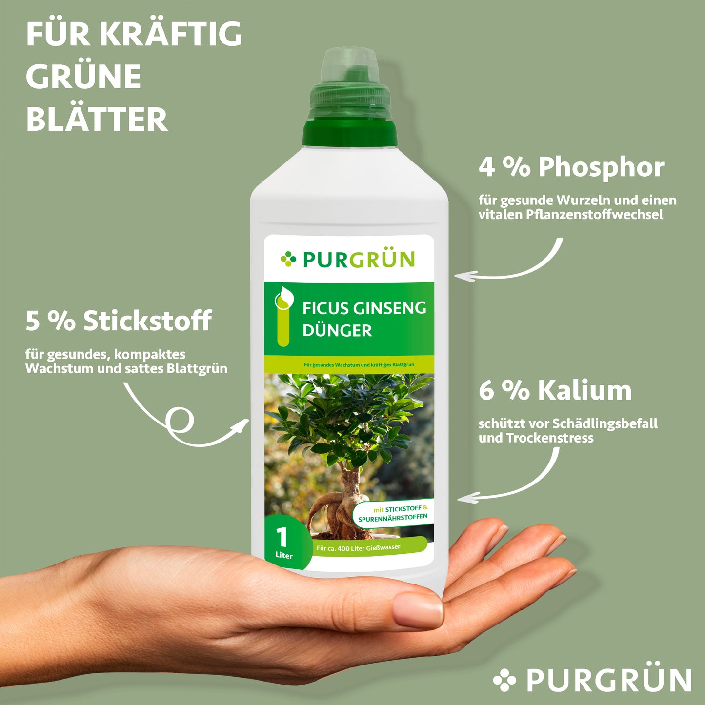 Ficus-Ginseng-Dünger 1 Liter