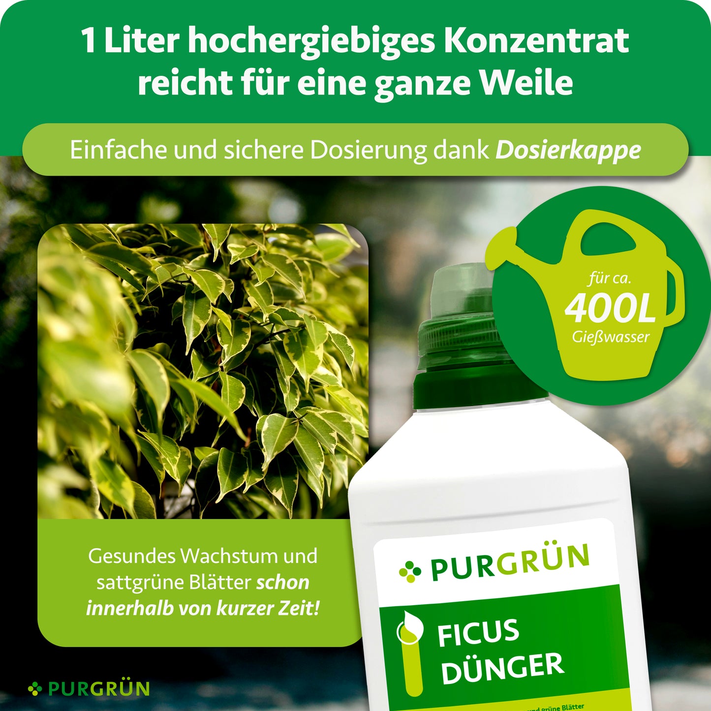 Ficus-Dünger 1 Liter