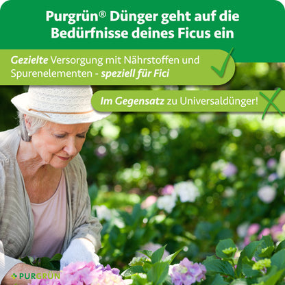 Ficus-Dünger 1 Liter