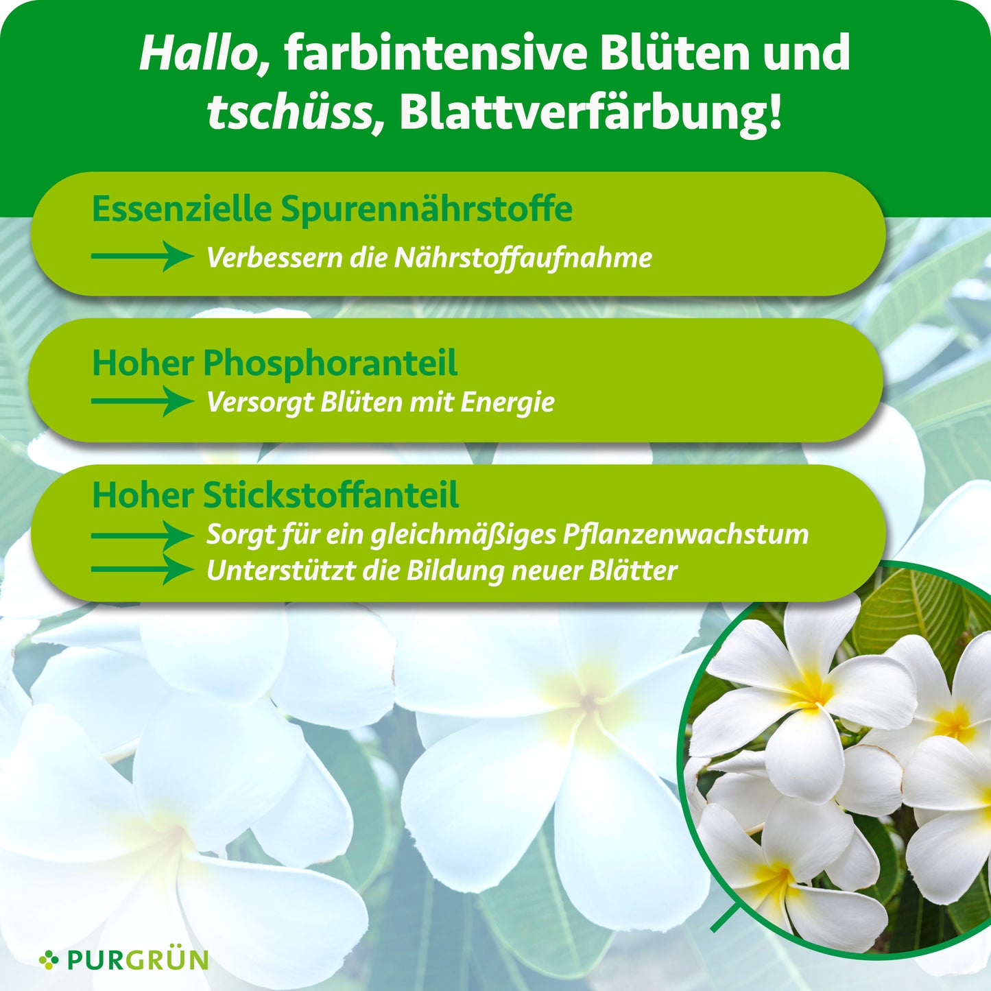 Frangipani-Dünger 1 Liter