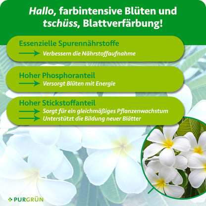 Frangipani-Dünger 1 Liter