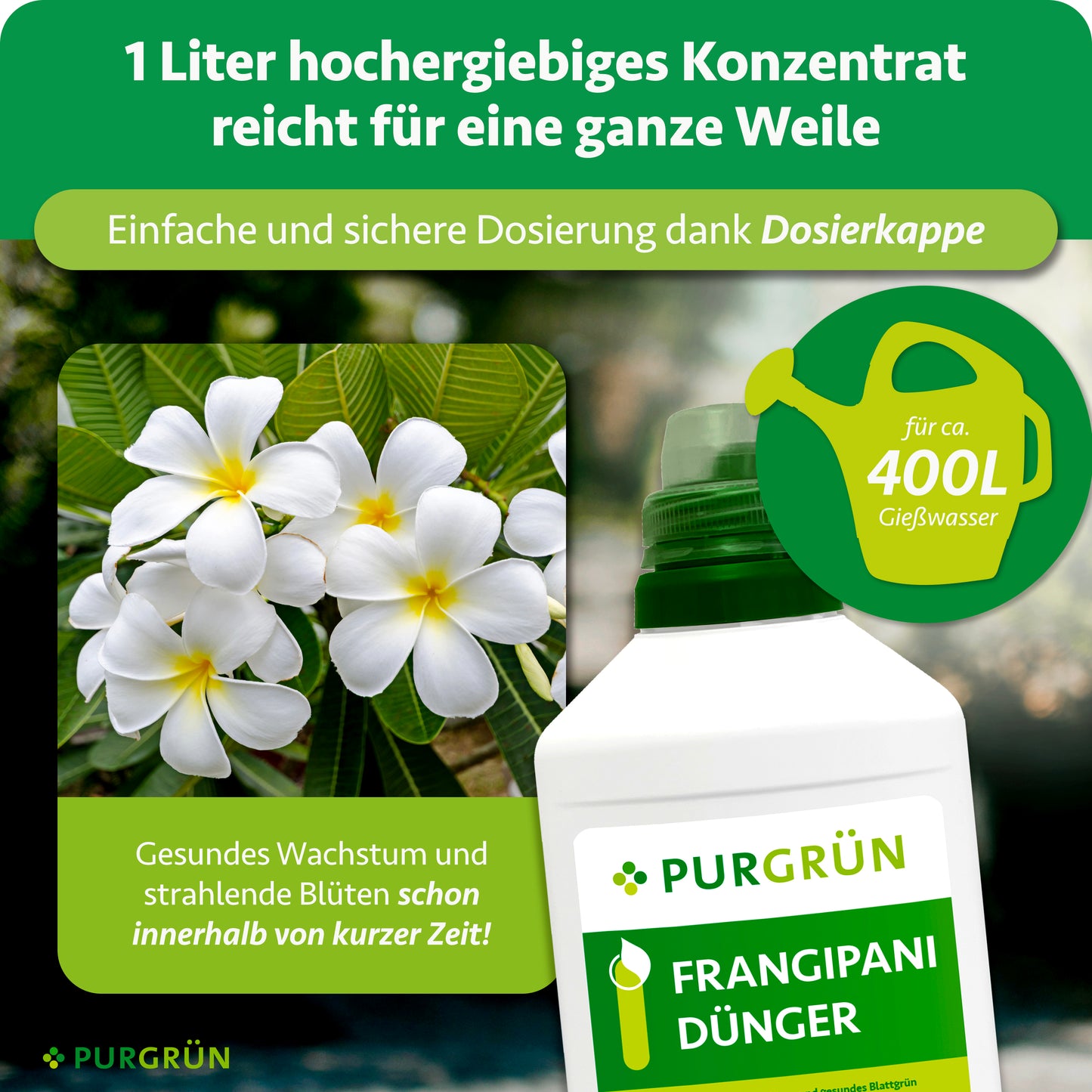 Frangipani-Dünger 1 Liter