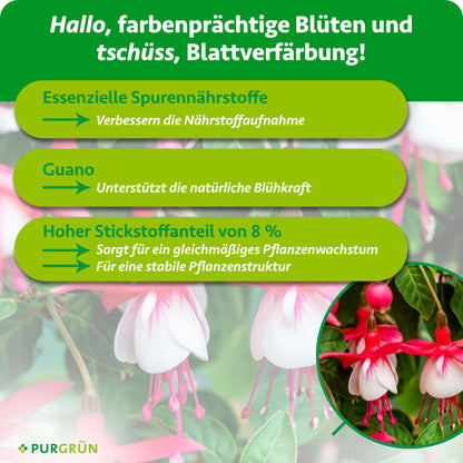 Fuchsien-Dünger 1 Liter