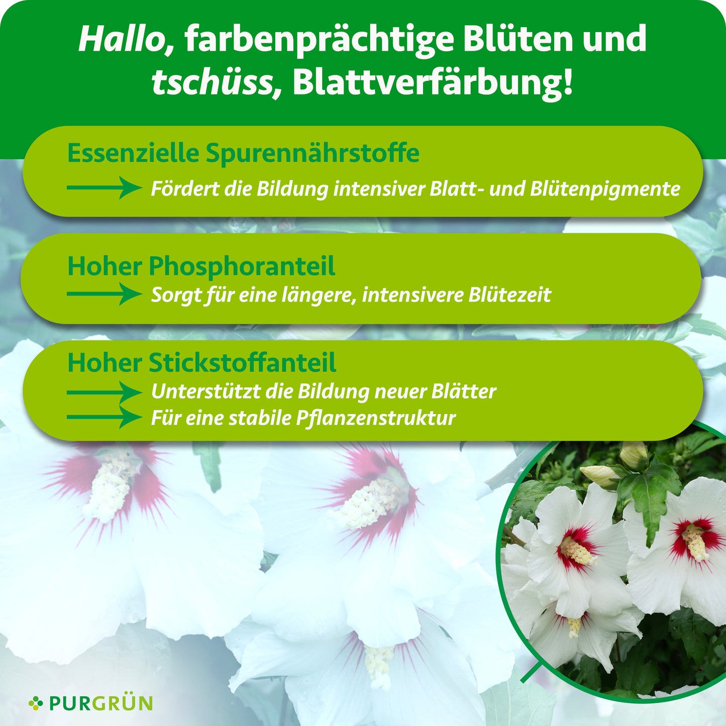 Gartenhibiskus-Dünger 1 Liter