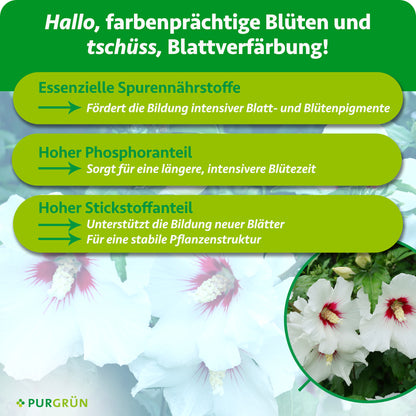 Gartenhibiskus-Dünger 1 Liter