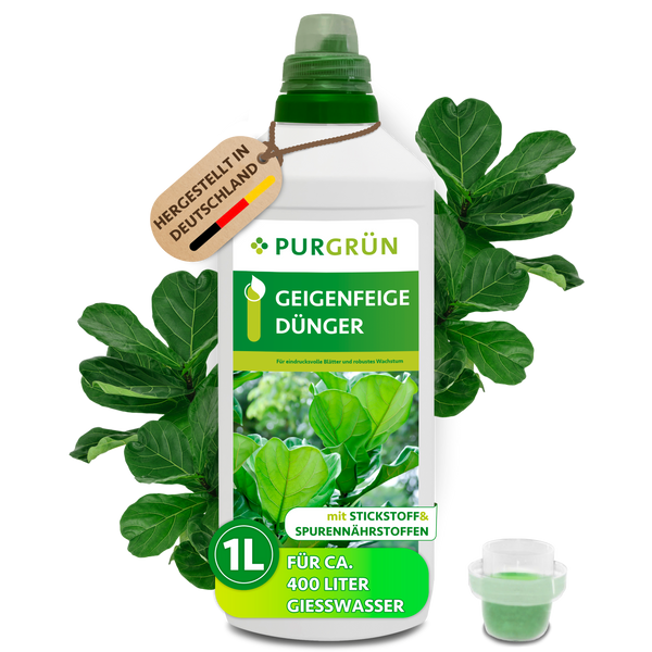 Purgrün Geigenfeige-Dünger 1 Liter