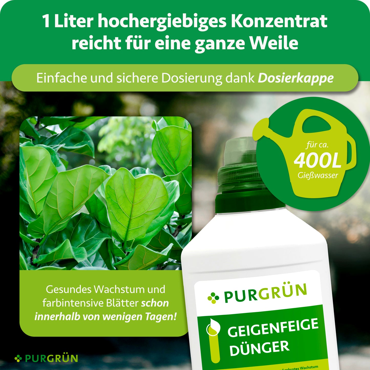 Geigenfeige-Dünger 1 Liter