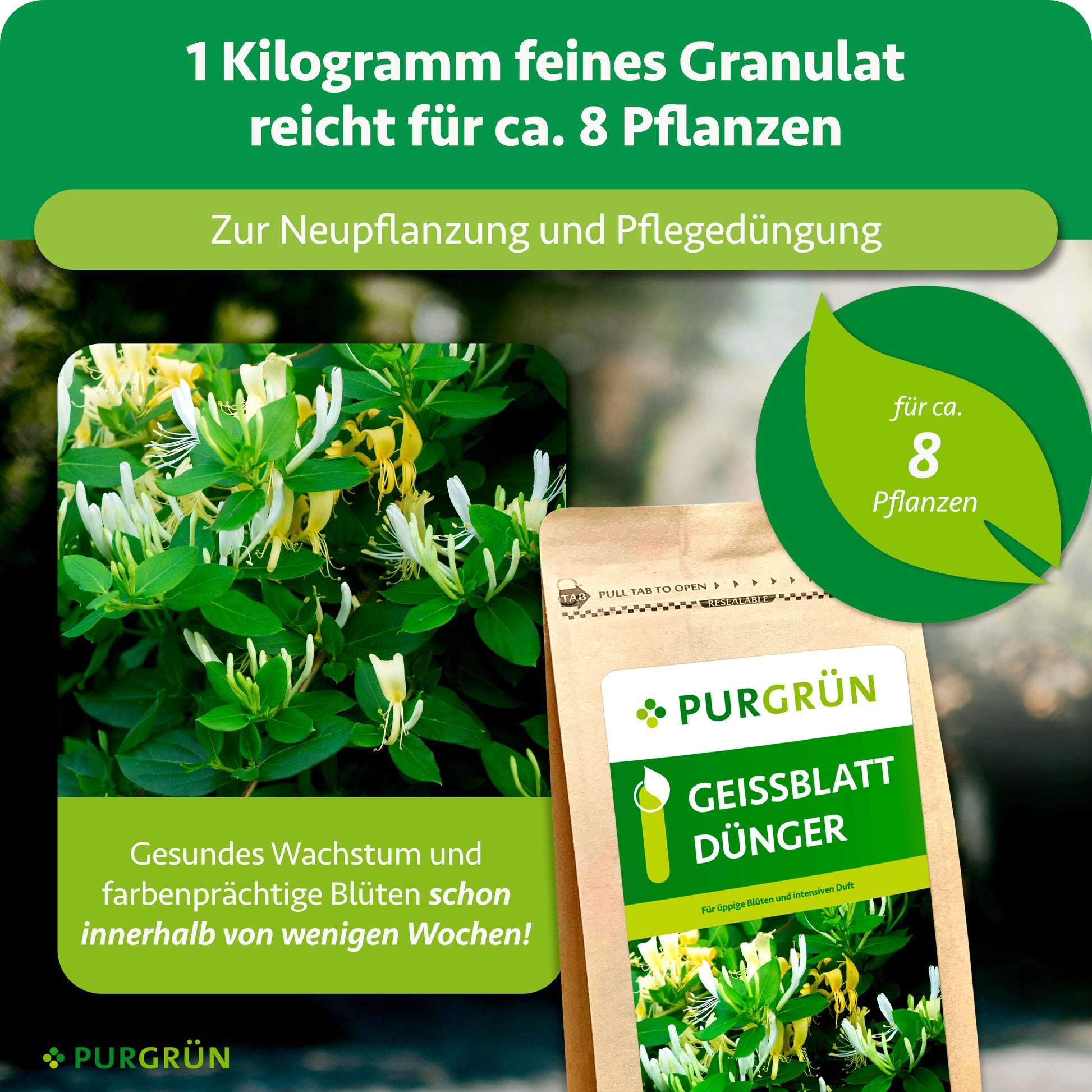 Purgrn Geiblatt-Dnger 1 kg