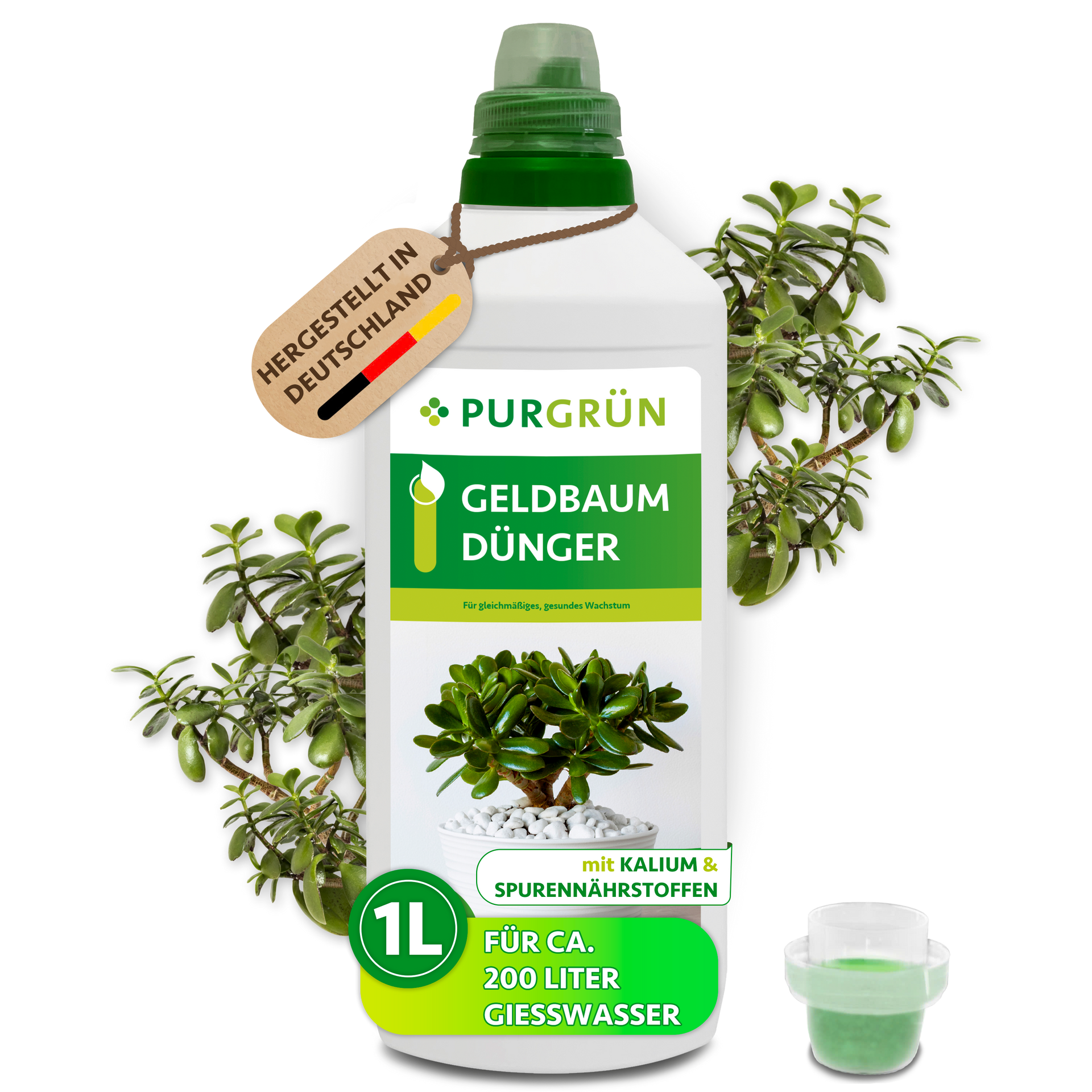 Purgrün Geldbaum-Dünger 1 Liter