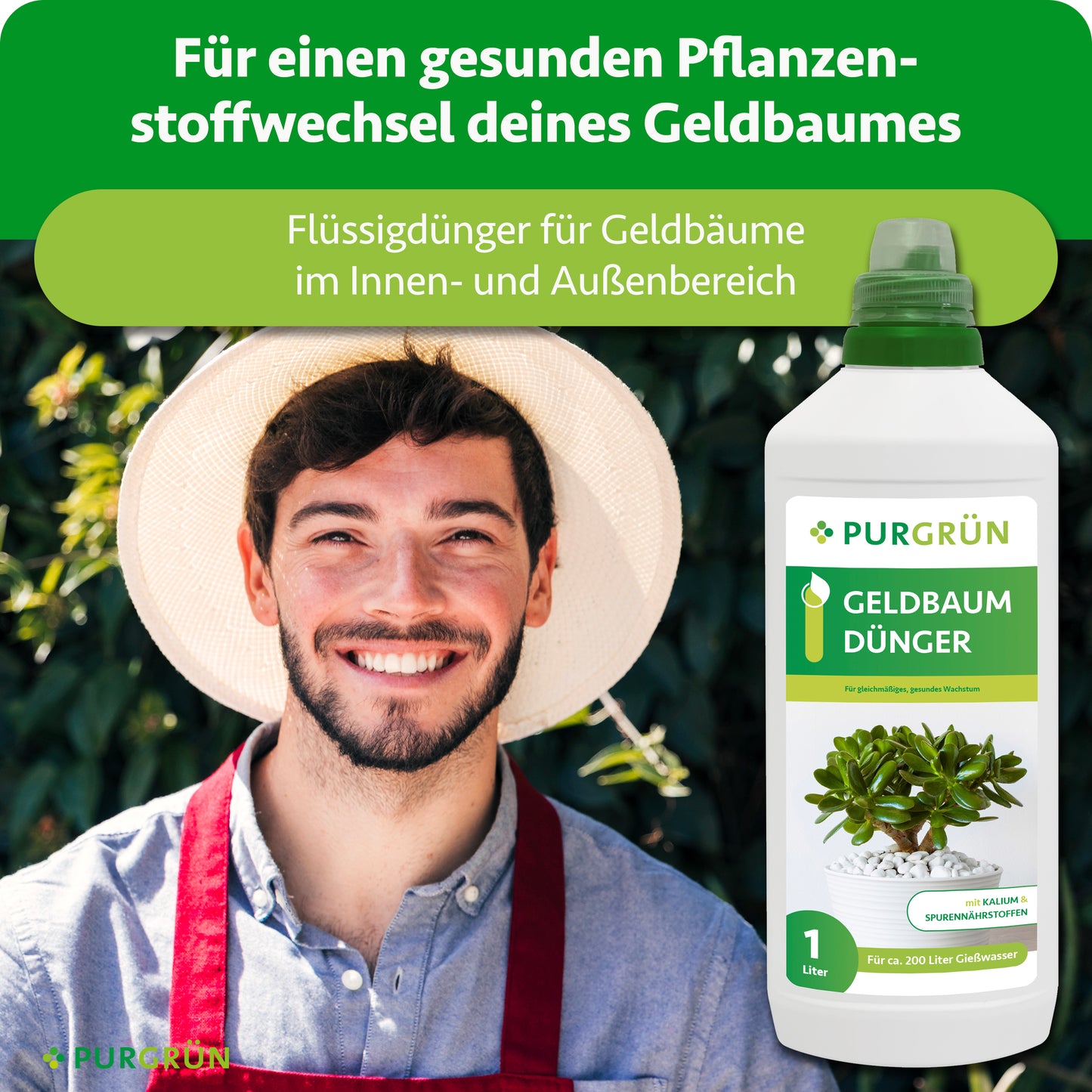 Geldbaum-Dünger 1 Liter