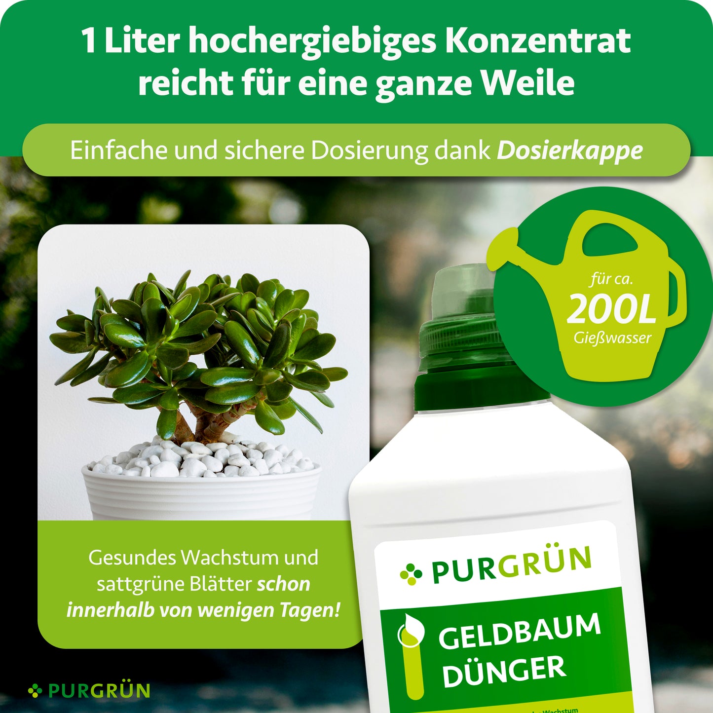 Geldbaum-Dünger 1 Liter