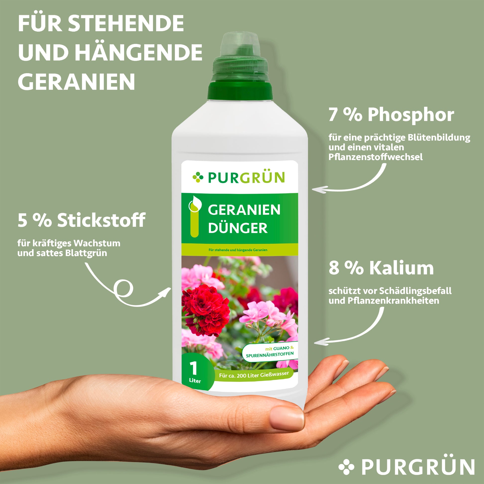 Eine Hand hält eine Flasche Purgrün Geraniendünger 1 Liter. Der Text hebt 5% Stickstoff für das Wachstum, 7% Phosphor für die Blüte und 8% Kalium für die Pflanzengesundheit hervor. Der Hintergrund ist grün mit weißer Schrift.