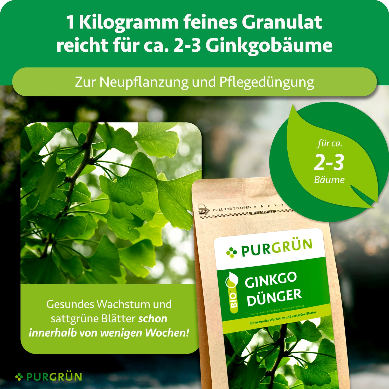 Purgrün Ginkgo-Dünger 1 kg