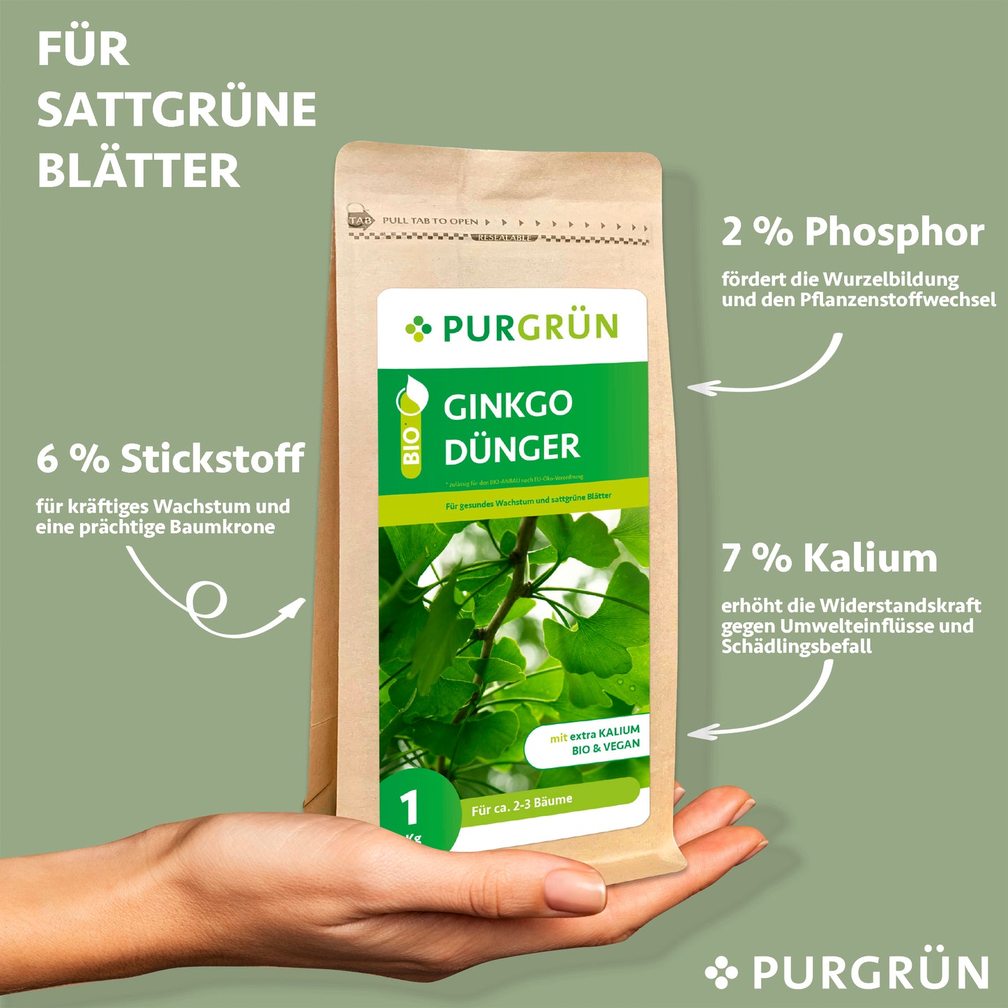 Bio-Ginkgo-Dünger 1 kg