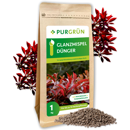 Ein 1 kg schwerer brauner Beutel Purgrün Glanzmispel-Dünger trägt ein grünes Etikett mit rotblättrigen Pflanzen und einem Granulatdünger, der Magnesium und Spurenelemente hervorhebt.