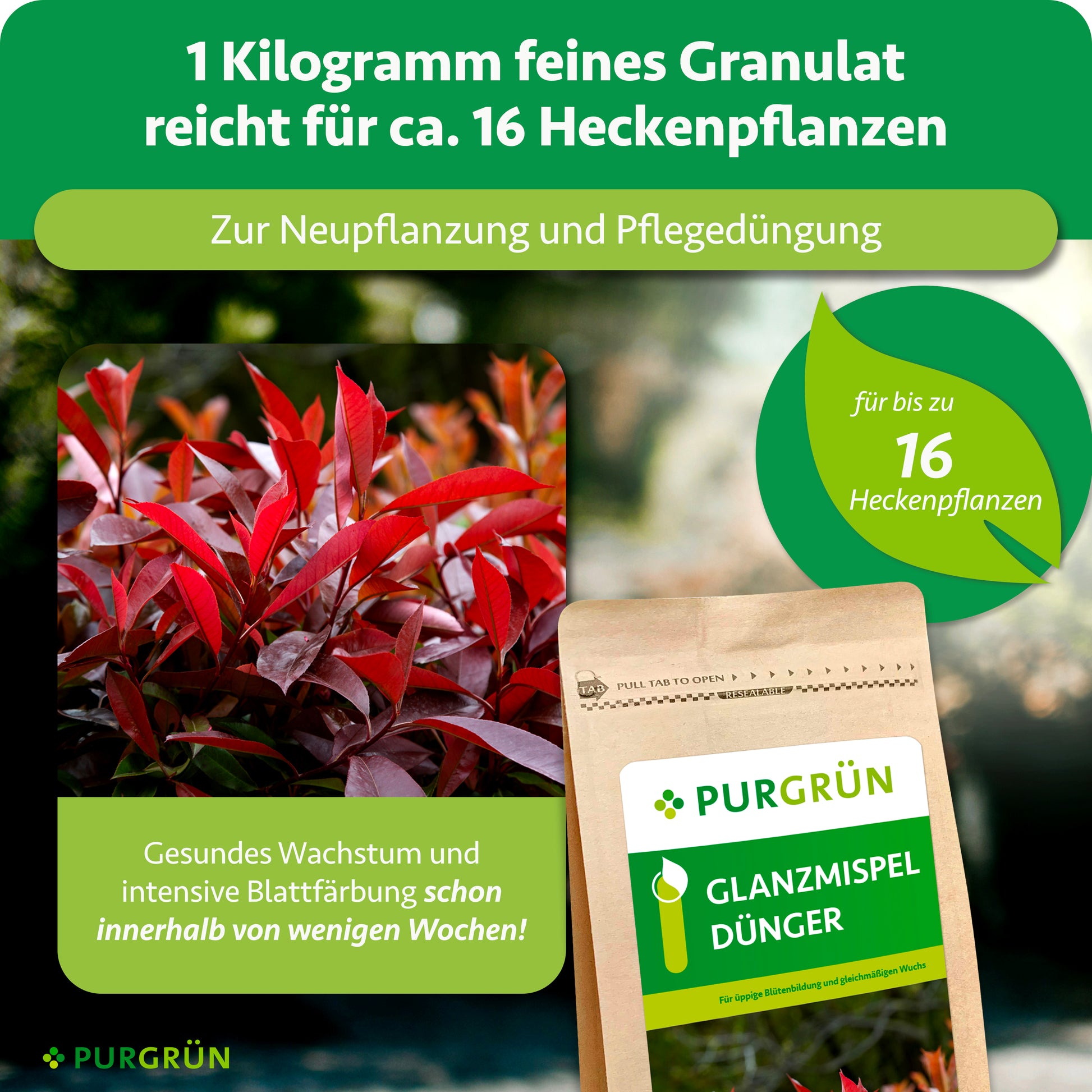Purgrün Glanzmispeldünger 1 kg