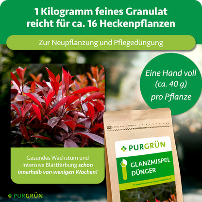 Abgebildet ist eine Purgrün Glanzmispel-Dünger 1 kg Packung mit leuchtenden Photinia-Blättern. Der organisch-mineralische Dünger fördert ein gesundes Wachstum - 1 kg reicht für etwa 16 Pflanzen bei Verwendung einer Handvoll (40 g) pro Pflanze.