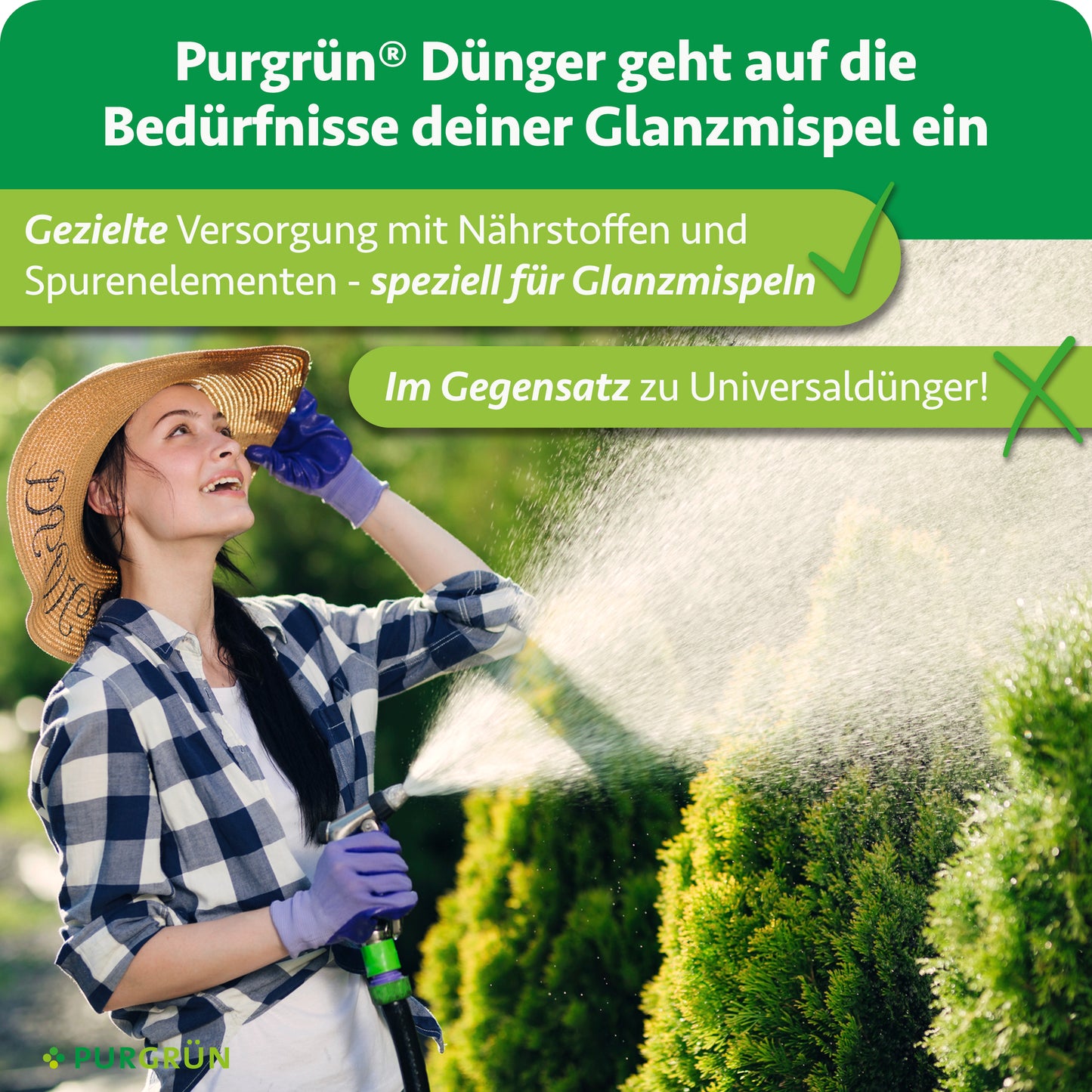 Eine Frau mit Hut und Handschuhen sprüht Purgrün Glanzmispel-Dünger 1 kg auf grüne Sträucher. Dieser organisch-mineralische Dünger liefert gezielte Nährstoffe für Photinia, im Gegensatz zu universellen Optionen.