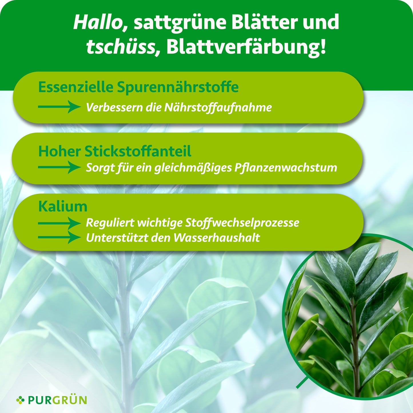 Glücksfeder-Dünger 1 Liter