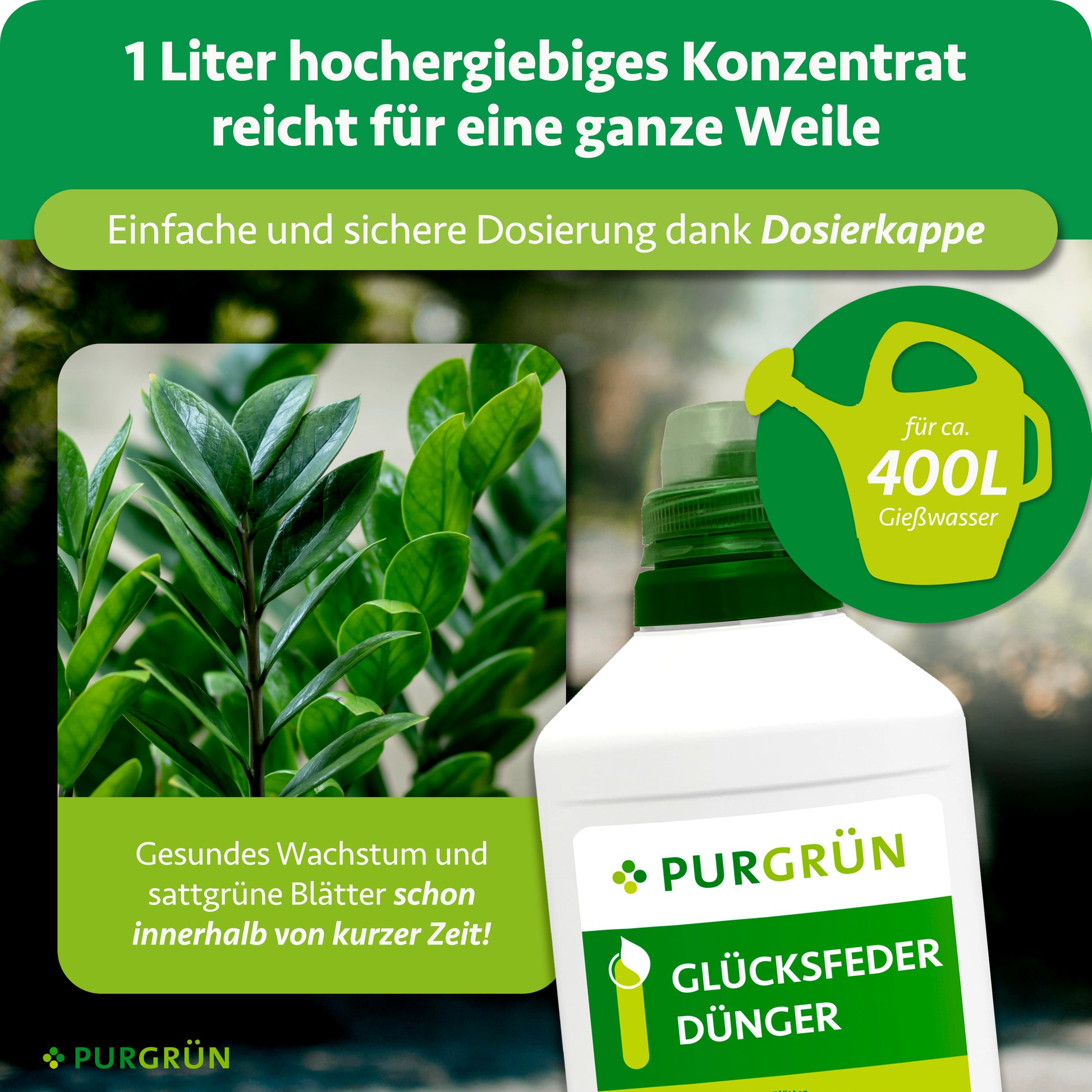 Purgrün Glücksfeder-Dünger 1 Liter