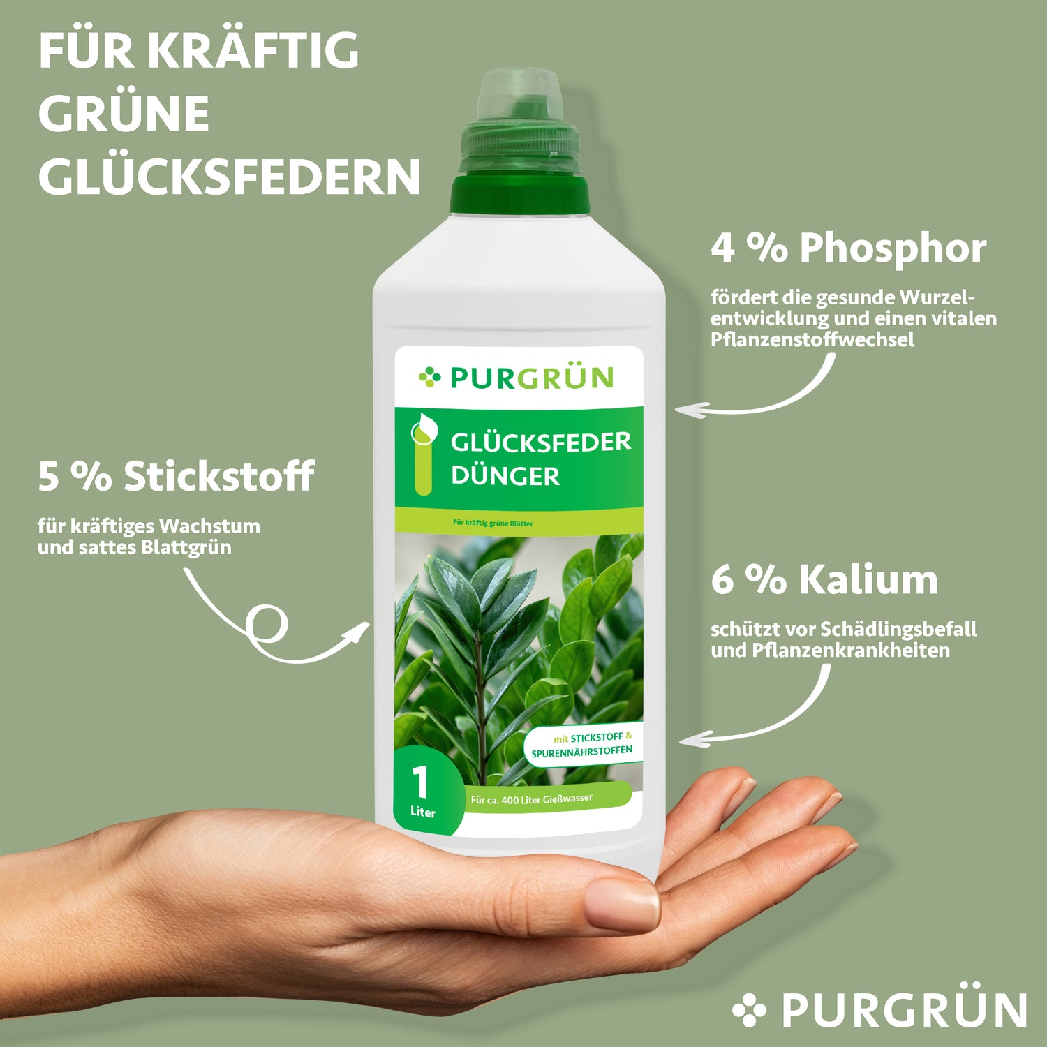 Eine Hand hält eine 1-Liter-Flasche Purgrün Glücksfeder-Dünger vor grünem Hintergrund. Der Text hebt die 5 % Stickstoff, Phosphor, Kalium und wertvolle Mikronährstoffe für gesundes, kräftiges Pflanzenwachstum hervor.