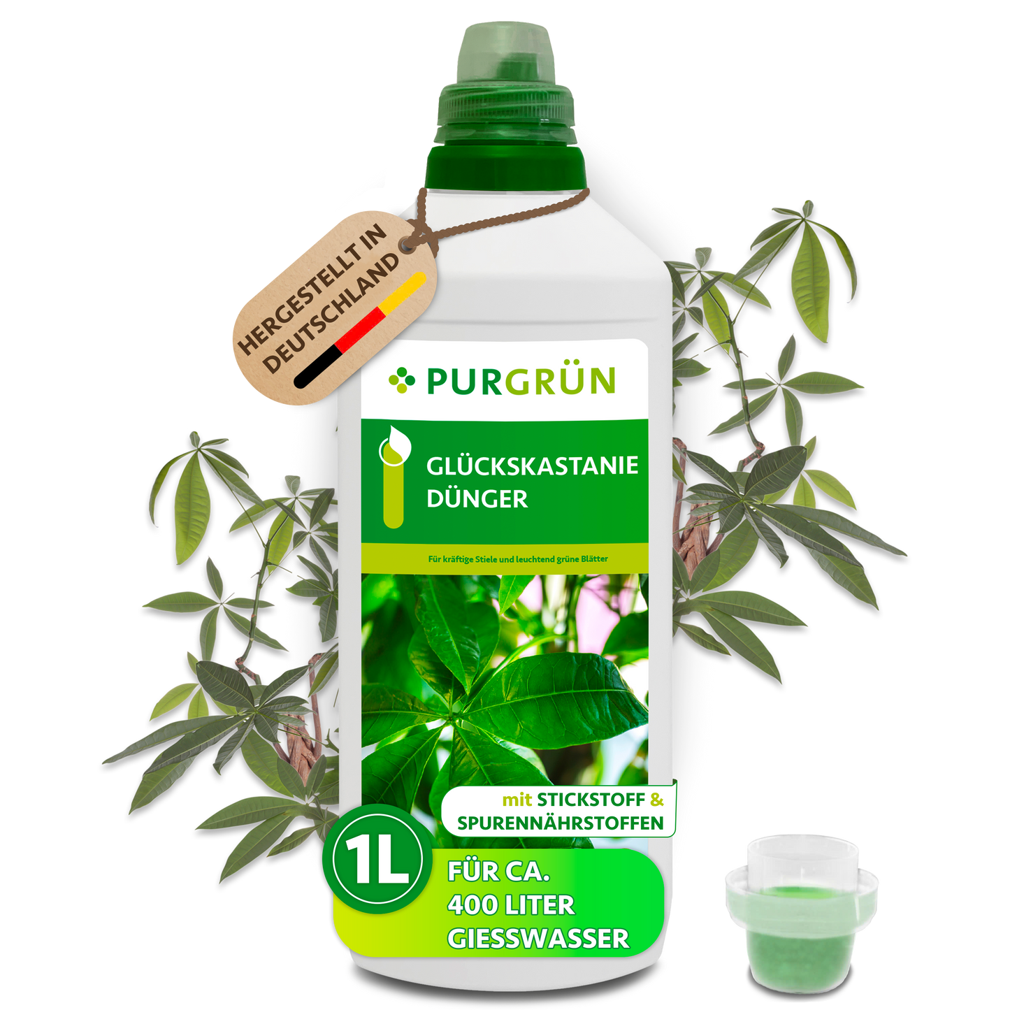 Purgrün Glückskastanie-Dünger 1 Liter