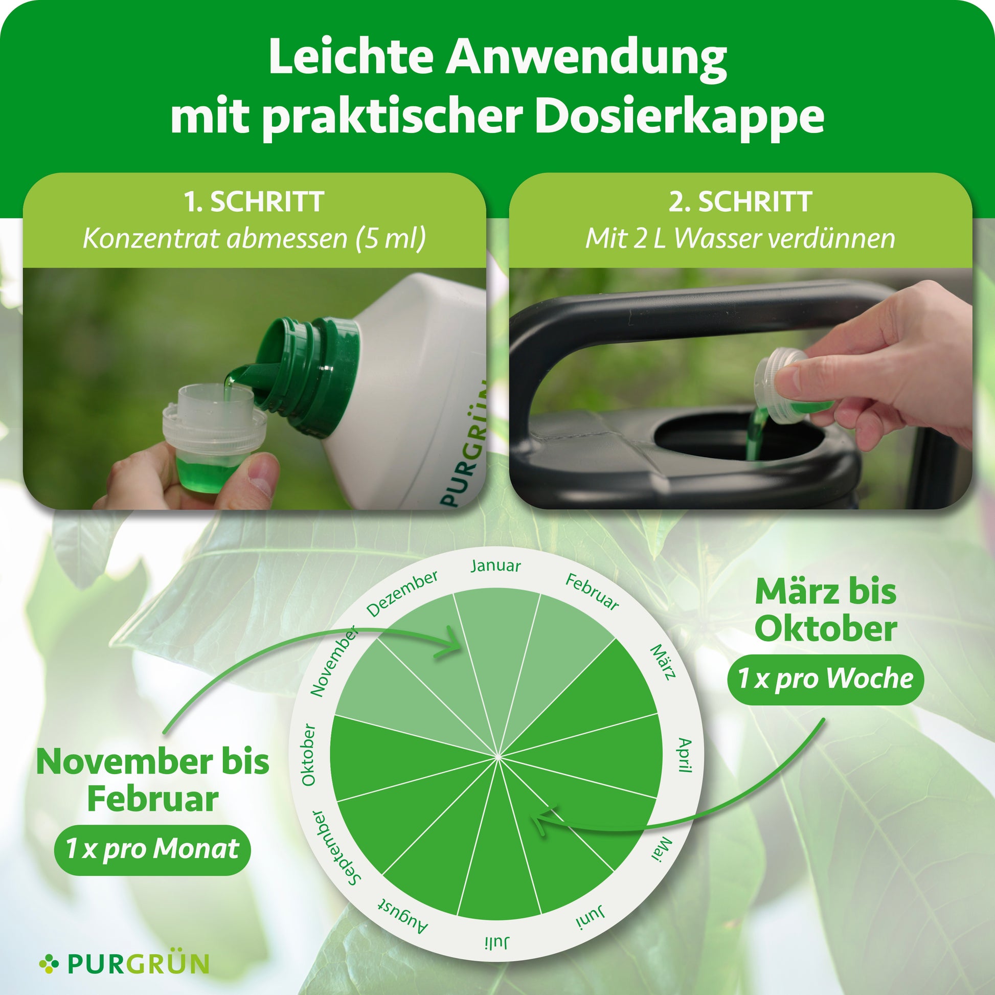 Purgrün Glückskastanie-Dünger 1 Liter