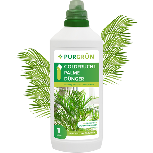 Goldfruchtpalme-Dünger 1 Liter