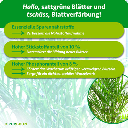 Goldfruchtpalme-Dünger 1 Liter