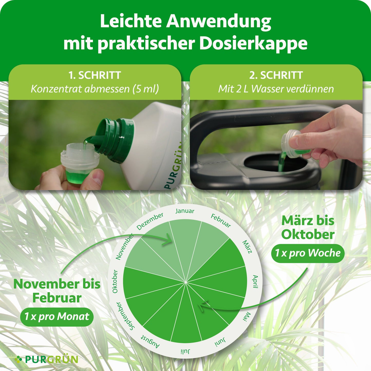 Goldfruchtpalme-Dünger 1 Liter