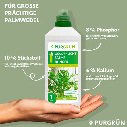 Goldfruchtpalme-Dünger 1 Liter