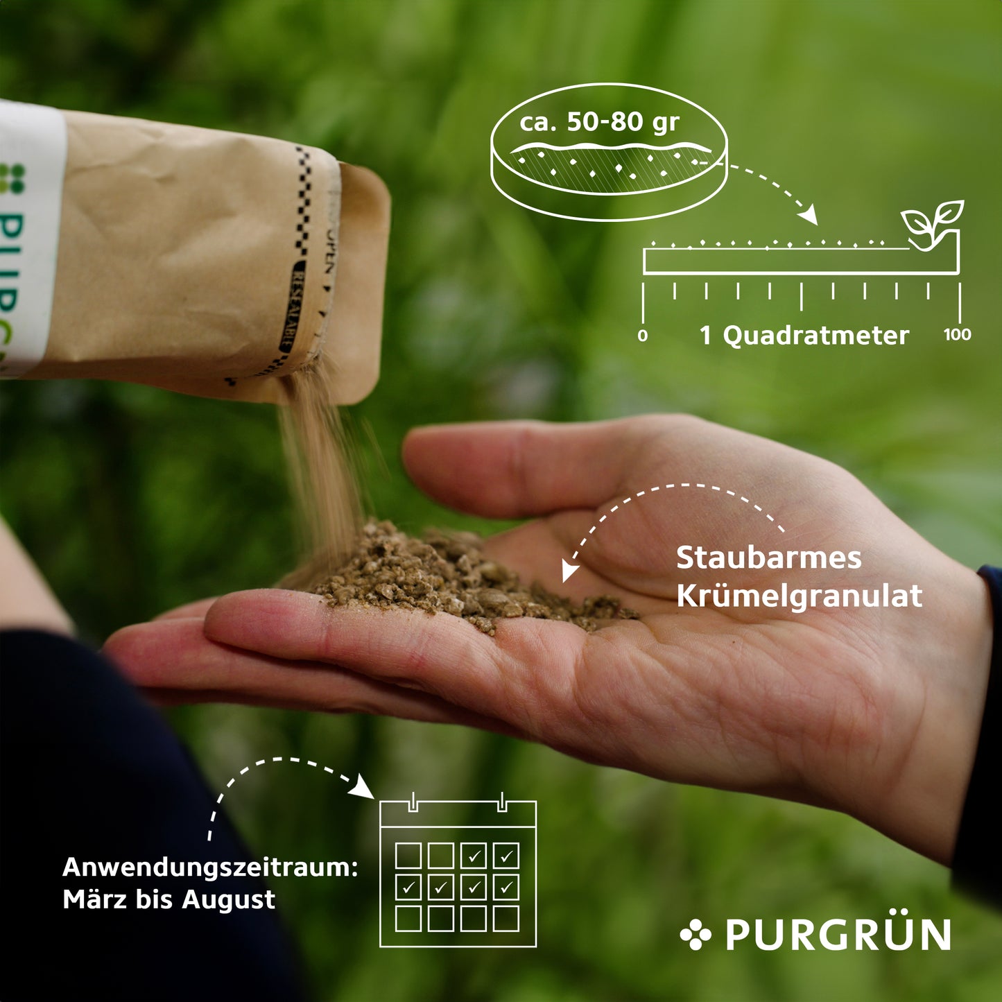 Eine Hand schüttet das krümelige, staubfreie Granulat von Purgrün Bodendecker-Dünger 1 kg aus dem Beutel auf eine andere Hand. Der Text erklärt die Anwendungsmenge (50-80 g/m²), den Anwendungszeitraum (März-August) und die staubarme Rezeptur.