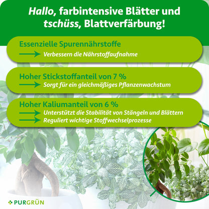 Grünpflanzendünger 1 Liter