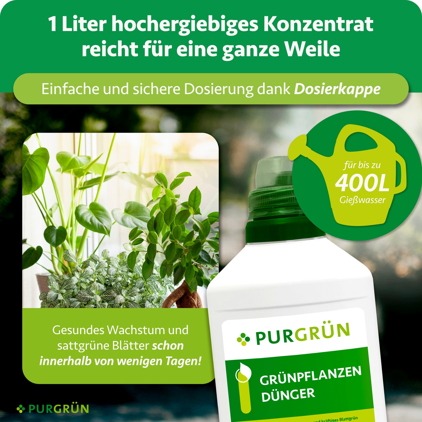 Grünpflanzendünger 1 Liter