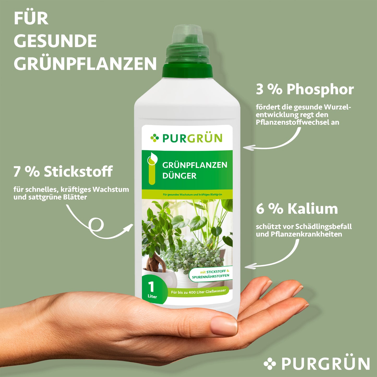 Grünpflanzendünger 1 Liter