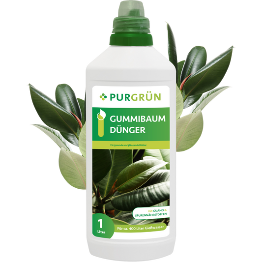 Gummibaum-Dünger 1 Liter