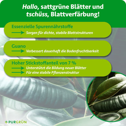 Gummibaum-Dünger 1 Liter