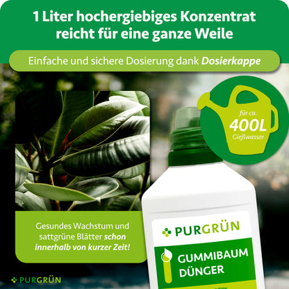 Gummibaum-Dünger 1 Liter