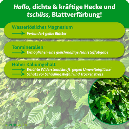 Hainbuchenhecke-Dünger 1 kg